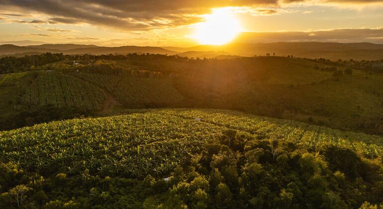 Banco Mundial Investirá US$ 796 Milhões na Bahia para Geração de Empregos e Sustentabilidade