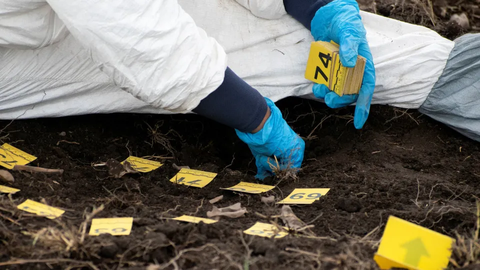 Descoberta de Mil Fragmentos Ósseos Revela Realidade Devastadora da Violência no México