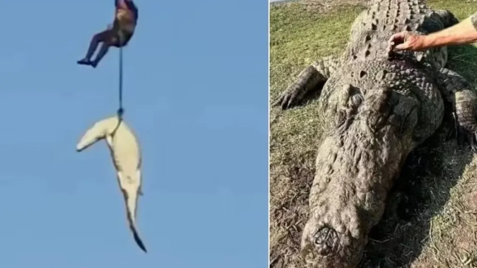 Crocodilo Gigante é Abatido Após Ataque Fatal a Empresário na África do Sul
