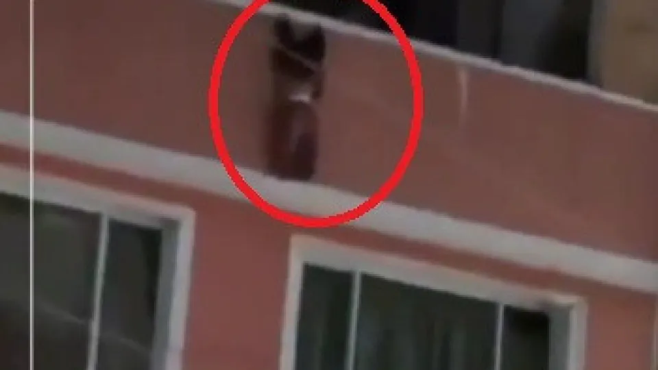 Milagre em Bogotá: Menino de 2 Anos Sobrevive a Queda de Quarto Andar com Ajuda de Vizinhos