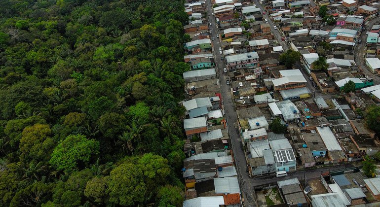 Brasil se Prepara para o Futuro: Planos Ambiciosos para a Preservação das Florestas até 2030