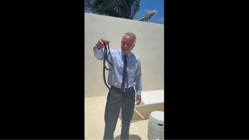 Robert F. Kennedy Jr. Choca a Internet ao Manipular Cobras Sem Proteção