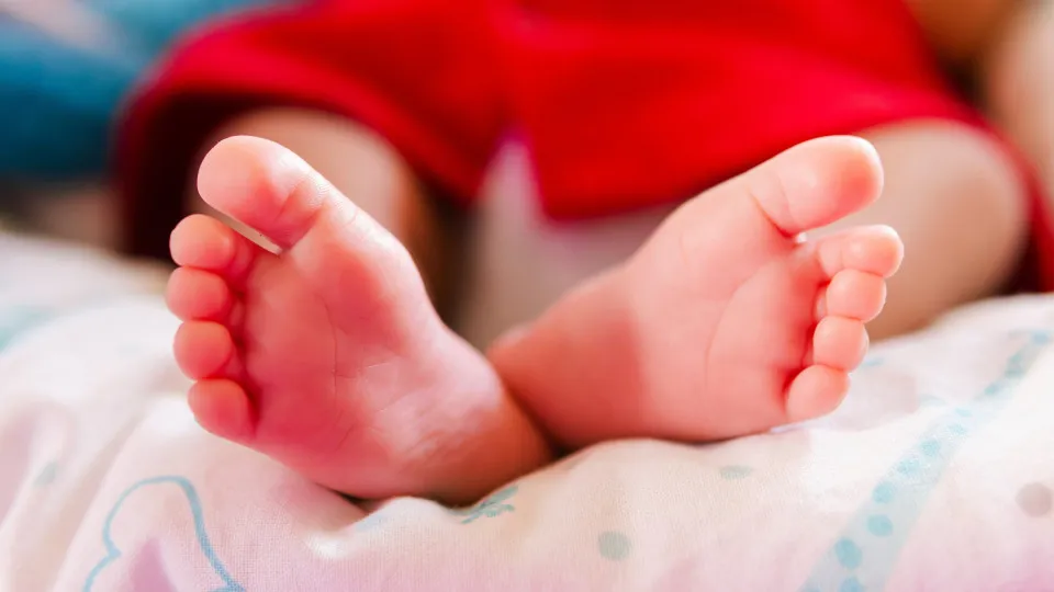 Tragédia em Haut-Rhin: Bebê Recém-Nascido Abandonado em Floresta e Mãe Acusada de Tentativa de Homicídio