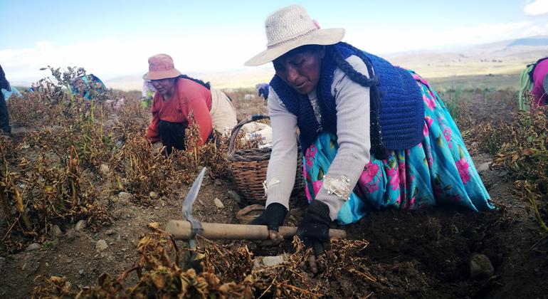 Cepal Reúne Países da América Latina para Fortalecer Cooperação Sul-Sul em Tempos de Crise