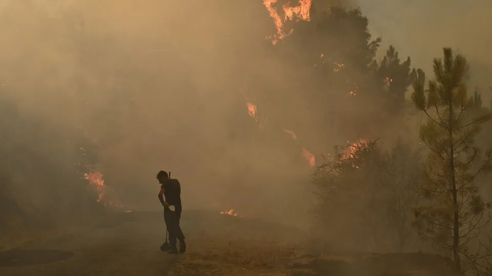 Tragédia em Almería: Incêndio Florestal Deixa 11 Mortos e 19 Desaparecidos na Espanha