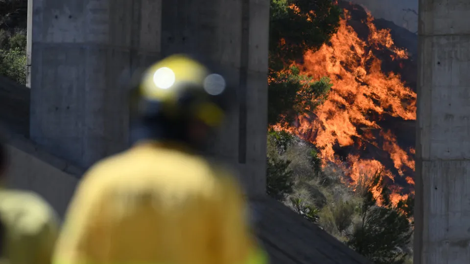 Europa Sob Pressão: Onda de Calor e Incêndios Devastadores Aumentam Crise Alimentar