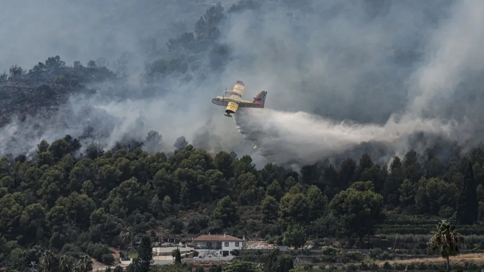 Incêndios Florestais na Europa: Uma Crise Humanitária em Expansão