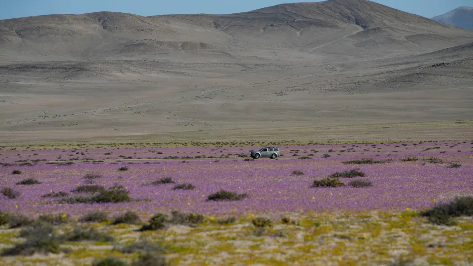 Deserto do Atacama Sofre Tempestade Histórica com Quatro Anos de Chuva em Apenas Quatro Dias