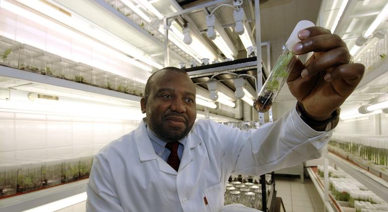 A Revolução Nuclear: Juventude Africana como Pilar do Futuro