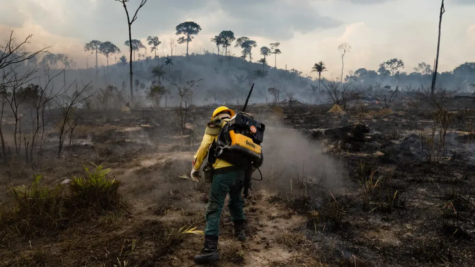 Incêndio Devastador em Madri: Homem Preso por Causar o 'Pior Incêndio da História'
