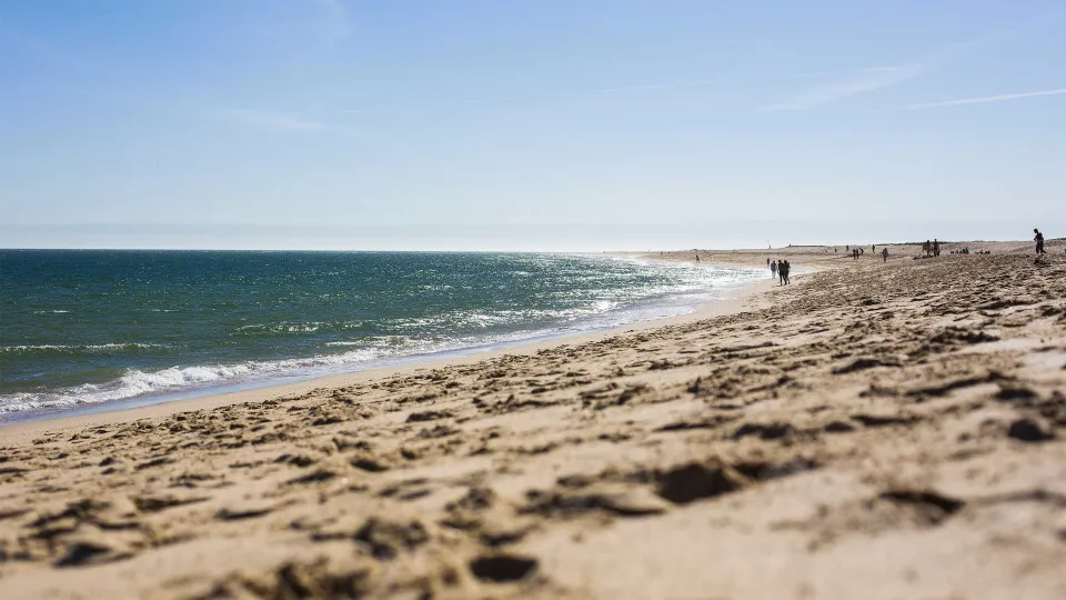 Oceanos em Alerta: Recorde de Calor e Secas Extremas na Europa
