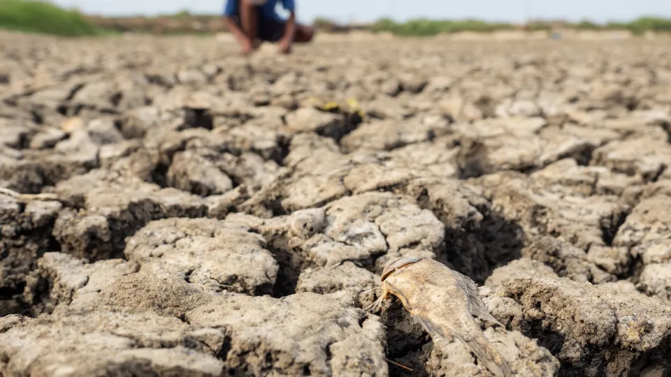 El Niño Se Aproxima: A NOAA Preve 90% de Chance de Evento Muito Forte
