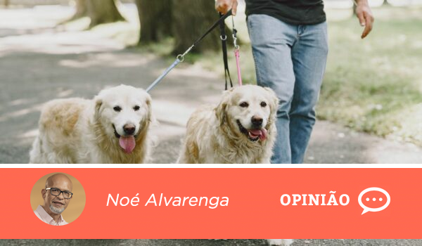 Os Benefícios de Ter um Cachorro: Uma Vida Mais Longa e Saudável