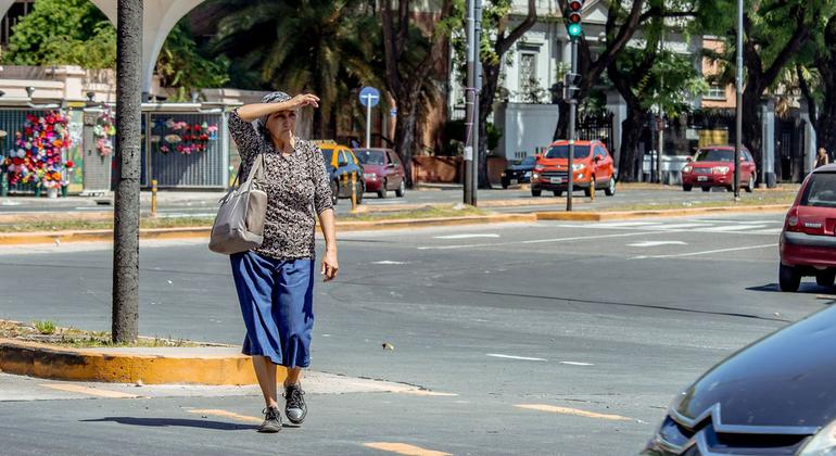 Argentina em Rumo à Recuperação: FMI Destaca Conquistas Econômicas Recentes