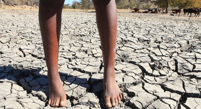 Super El Niño: ONU Lança Nova Estratégia para Combater a Fome em Massa